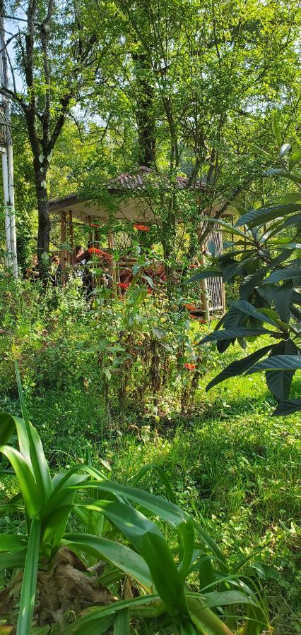 Villa Gelati Kutaiszi Kültér fotó